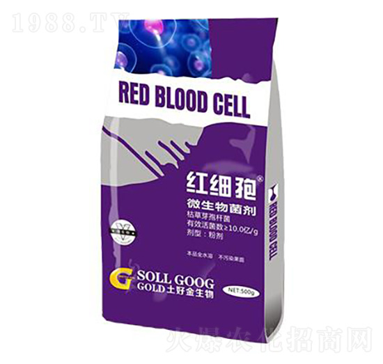 500g΢������� �t���� ���ý�