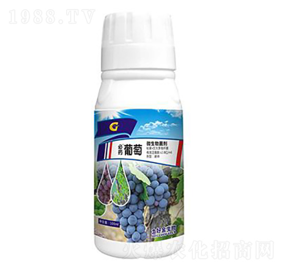 100ml���� ���ý�