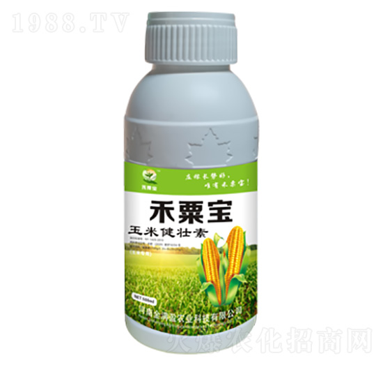 ���׽����� ������ ��Mӯ�r(n��ng)�I(y��)