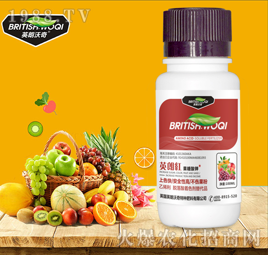 ������� Ӣ�ʼt Ӣ������