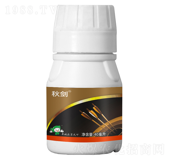 5%ʭ����-�-�S�՘�