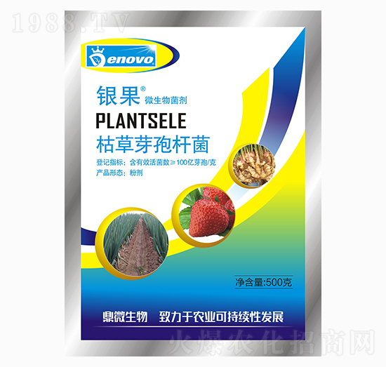 500g�ݲ�ѿ�ߗU��-�y��-��΢����