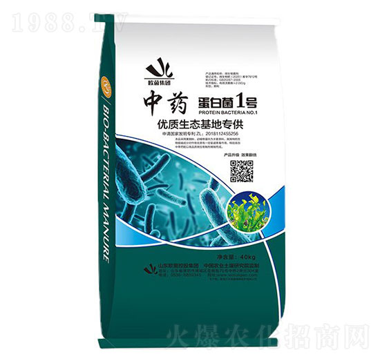 ��ˎ���׾�1̖-�W�����F