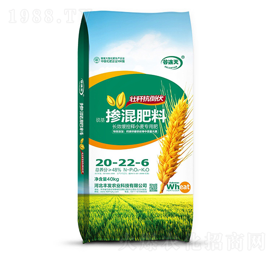 ����������20-22-6 ���B�� �S�l(f��)�r�I(y��)