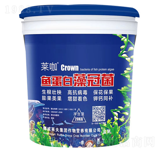 �~������ھ�-�R��-�ŵ�����