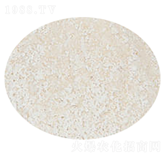 ΢������� ¡��Դ����