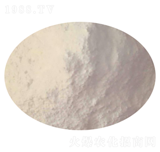 ���ʷ۠���Y(ji��)�K�� ؐ���Z�r(n��ng)�I(y��)