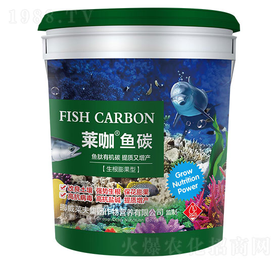 ����������R���~̼-�ŵ�����