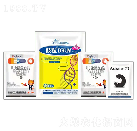 �����ײ� ��������