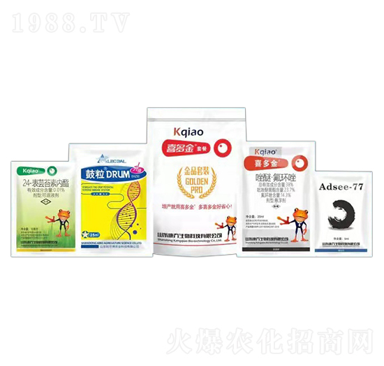 ϲ����ײ� ��������