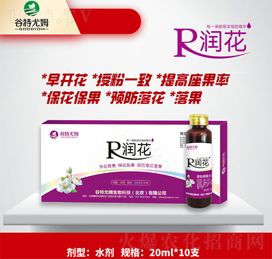 ����-�л������������������A���仨��-������ķ