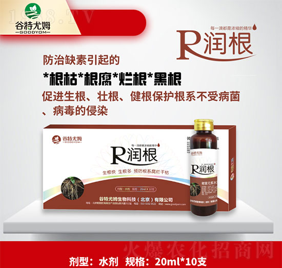 ����-�����졢���������A(y��)����ϵ�����ɿ�-������ķ