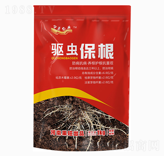 ��x����-��������