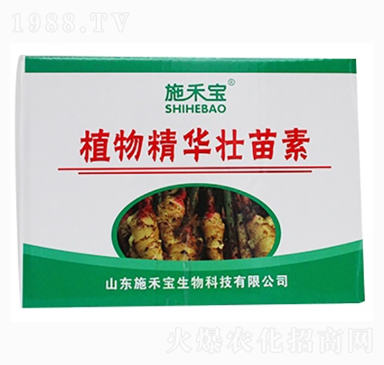 ֲ�ﾫ�A�����أ��䣩-ʩ�̌�