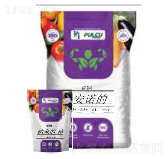 Pulcu�{�׾�Ӣ10-10-40+TE ؐ�����m