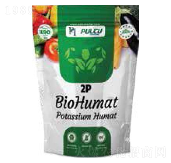 2P���ֳ︯�|(zh��)����ֳ�|(zh��)⛣� ؐ�����m