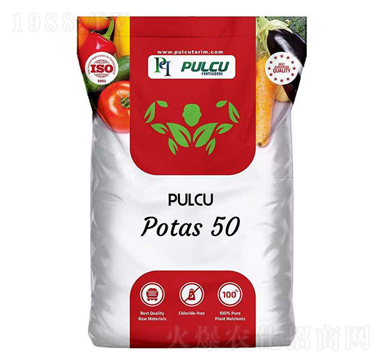 Potas50 PULCU ؐ�����m