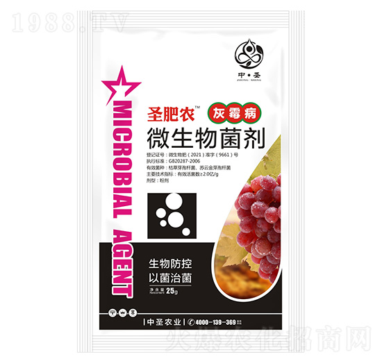 ��ù����(zhu��n)��΢�������-ʥ���r(n��ng)-��ʥ�r(n��ng)�I(y��)