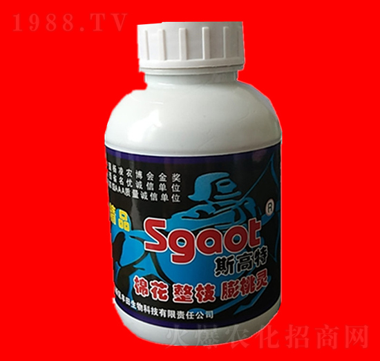 �޻���֦�����` ˹���� ���R�ʘI(y��)