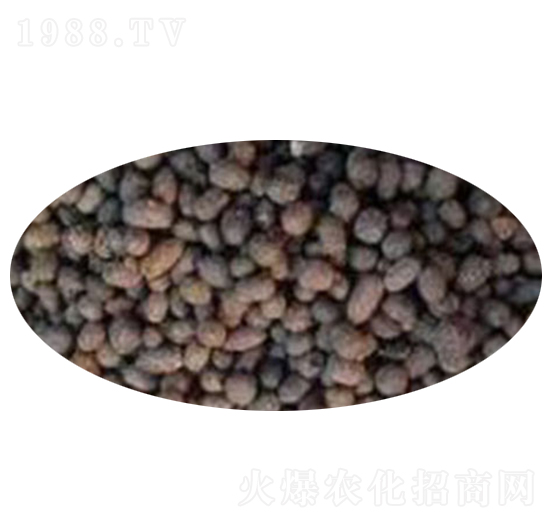 ��S�ЙC��-������ʘI(y��)