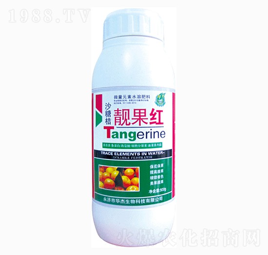 ɰ�����n���t-�A������