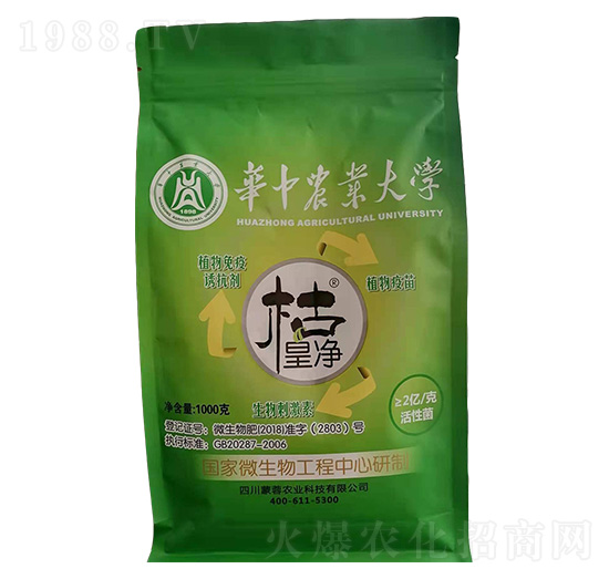 ֲ�������T����-����