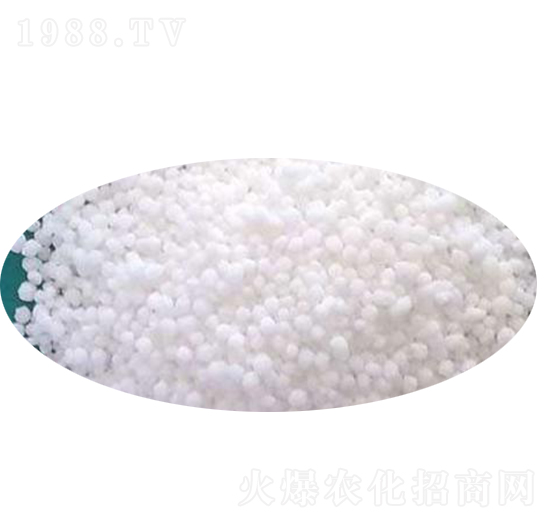 �����V-�xʢ����