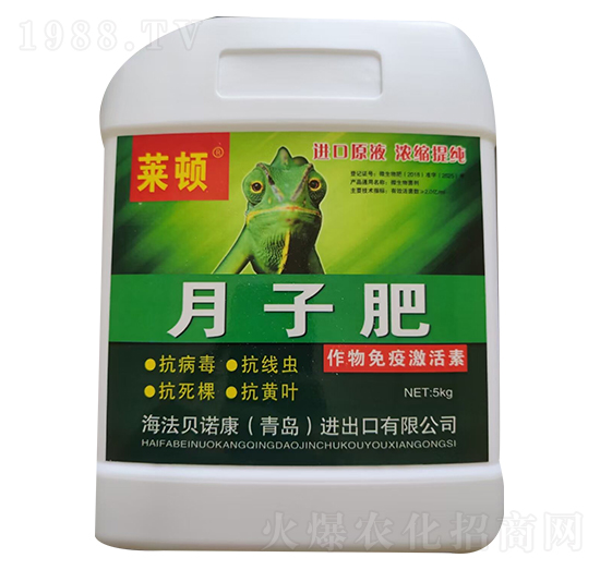 �������߼�����-���ӷ�-�R�D