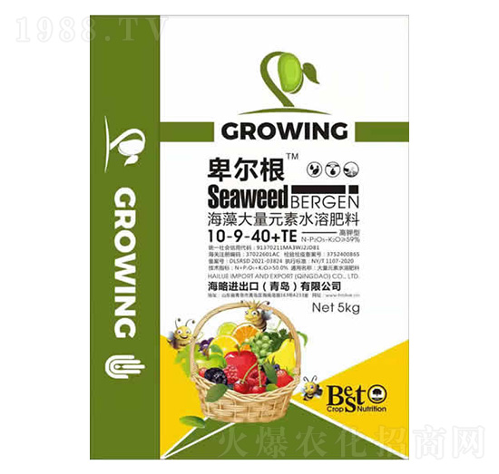 �������Ԫ��ˮ�ܷ���10-9-40+TE-������-����