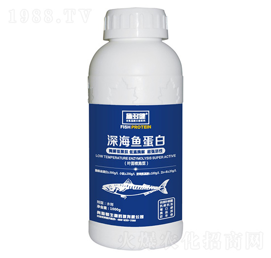 ��~����-ʩ�ཡ-�W˹�D����