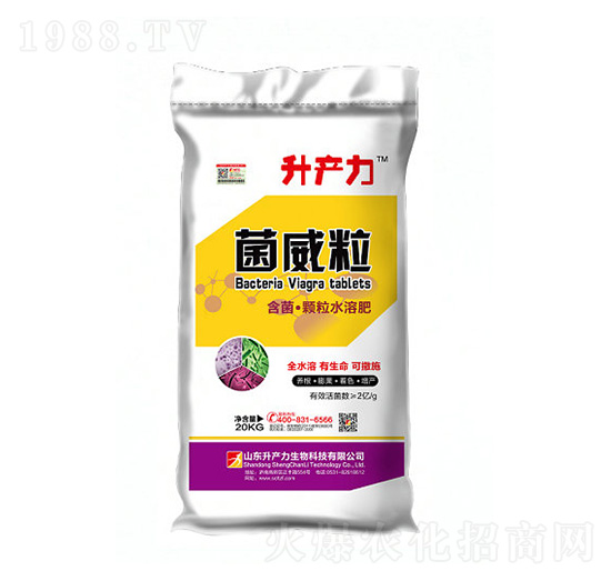 �����w��ˮ�ܷ�-������-���a��