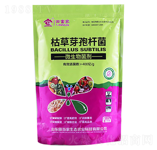 �ݲ�ѿ�ߗU��-�ﮔ��