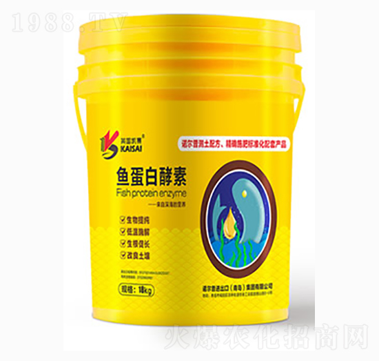 �~���׽���-�Z����