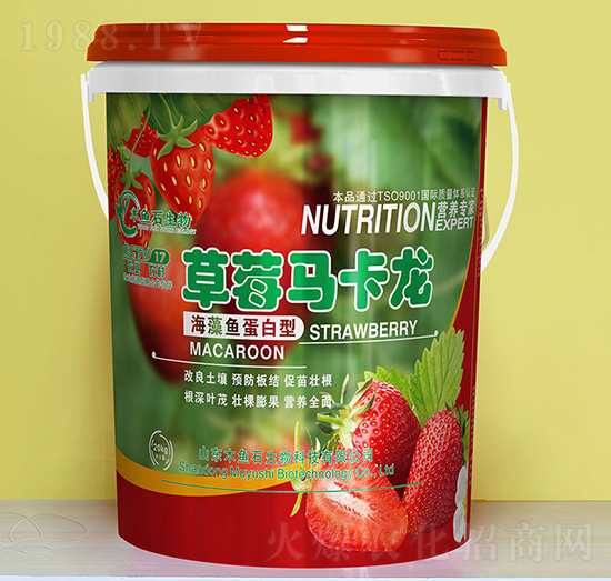 �����~(y��)������-��ݮ�R����-ľ�~(y��)ʯ����