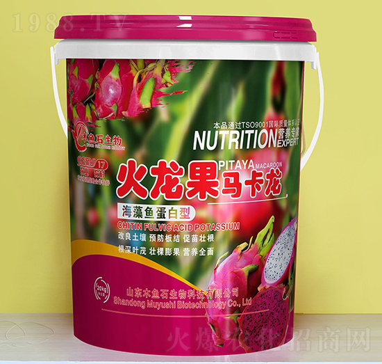 �����~������-�������R����-ľ�~ʯ����