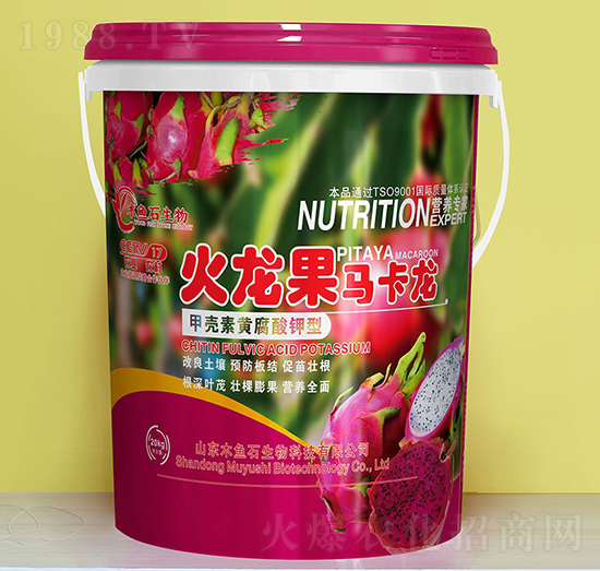 �ך����S�������-�������R����-ľ�~ʯ����