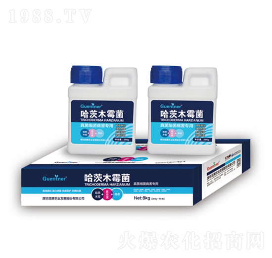 �����(x��)��������(zhu��n)�ù���ľù��-���v�r(n��ng)�I(y��)