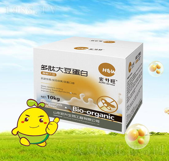 ���Ĵ󶹵���-��������