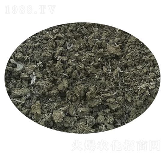 ���u�S-�f�Z���r(n��ng)�I(y��)