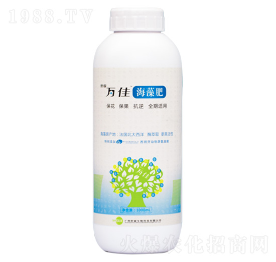 �����-�������