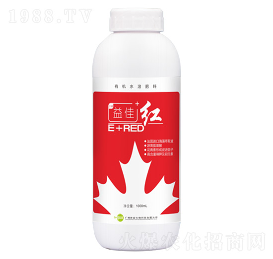 �~���-��ѡ��t-�������