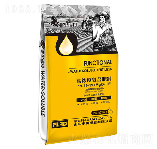 �ߝ�ȏͺϷ���19-19-19+MgO+TE ������ �SȽ�ʘI(y��)