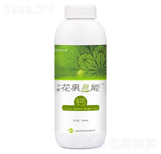 ��������Ȫ���}-�������