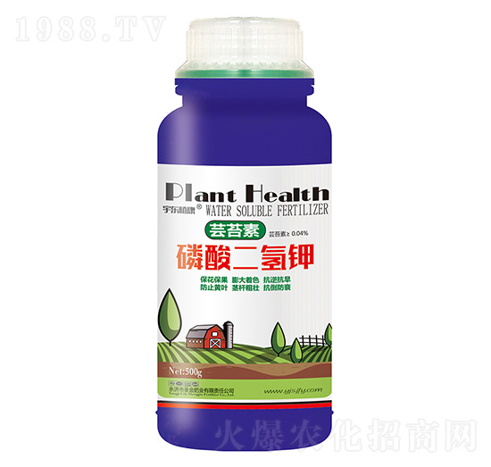 �|̦����������-ʥ��ʘI(y��)