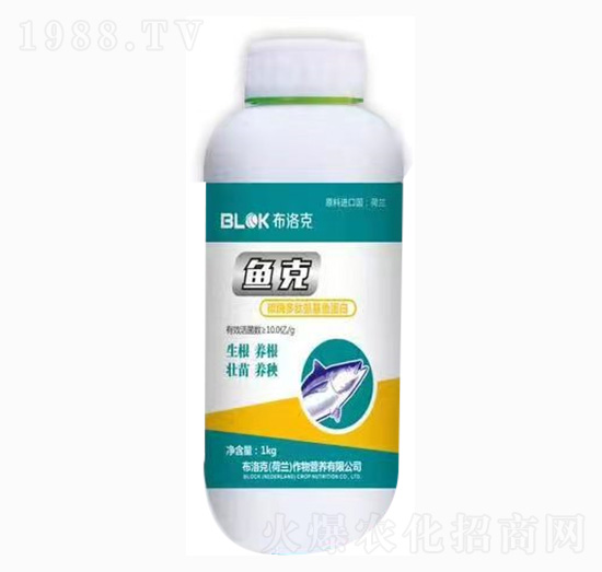 ̼ø���İ����~����-�~��-�����