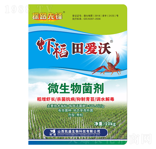 ΢�������-�r�������-�Pʢ�ʘI(y��)