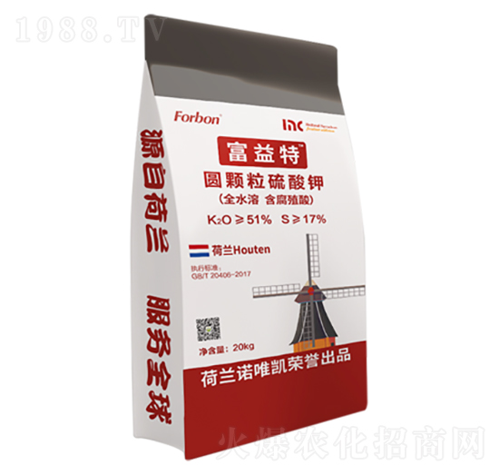 �A�w�������-������-����Ƽ�