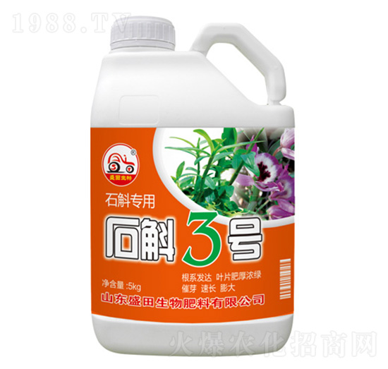 ʯ����(zhu��n)��3̖(h��o)-ʢ������