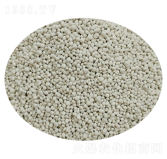 ��������-��׿����