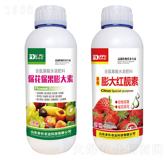 �������������+���t�n��-�����Ƽ�